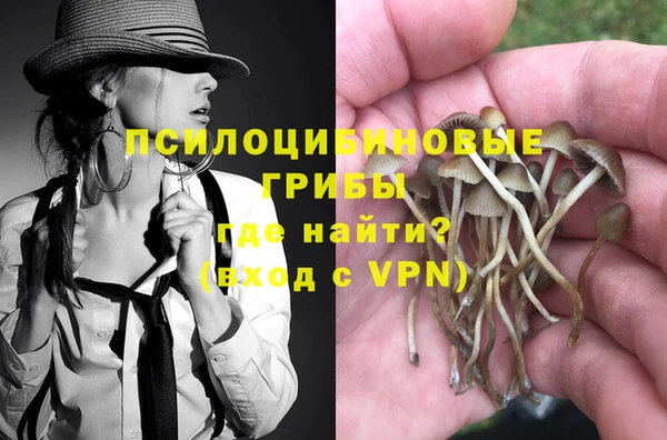 ГАЛЛЮЦИНОГЕННЫЕ ГРИБЫ Абаза