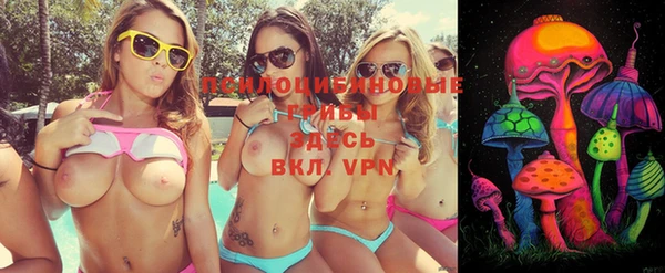 ГАЛЛЮЦИНОГЕННЫЕ ГРИБЫ Абаза