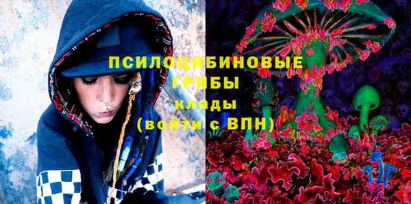 ГАЛЛЮЦИНОГЕННЫЕ ГРИБЫ Абаза