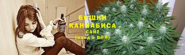 ГАЛЛЮЦИНОГЕННЫЕ ГРИБЫ Абаза